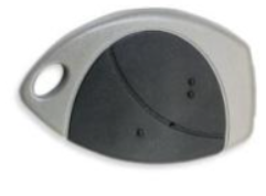 Lot de 2 télécommandes pour Alarme Cobra 4821 CAN BUS